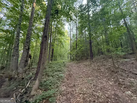5 Watsons Mill Rd, Comer, GA 30629 photo 15