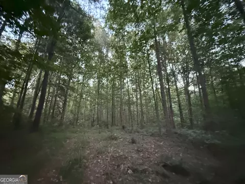 5 Watsons Mill Rd, Comer, GA 30629 photo 22