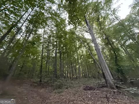 5 Watsons Mill Rd, Comer, GA 30629 photo 45