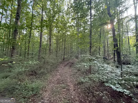 5 Watsons Mill Rd, Comer, GA 30629 photo 17