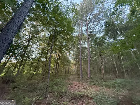 5 Watsons Mill Rd, Comer, GA 30629 photo 36