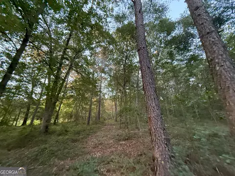 5 Watsons Mill Rd, Comer, GA 30629 photo 34
