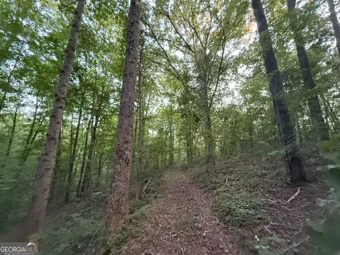 5 Watsons Mill Rd, Comer, GA 30629 photo 43