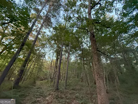 5 Watsons Mill Rd, Comer, GA 30629 photo 33