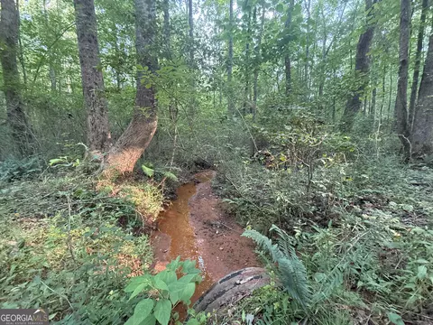 5 Watsons Mill Rd, Comer, GA 30629 photo 54