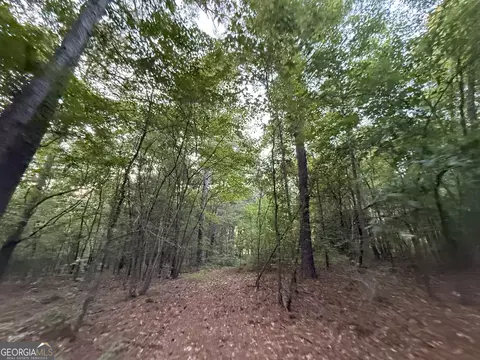 5 Watsons Mill Rd, Comer, GA 30629 photo 38