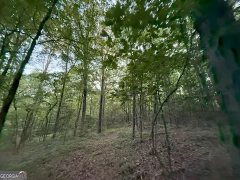 5 Watsons Mill Rd, Comer, GA 30629 photo 41