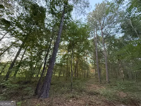 5 Watsons Mill Rd, Comer, GA 30629 photo 37
