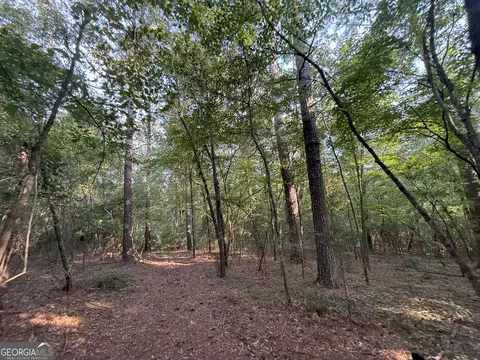 5 Watsons Mill Rd, Comer, GA 30629 photo 12