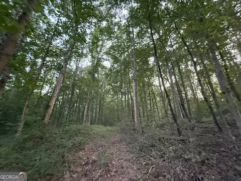 5 Watsons Mill Rd, Comer, GA 30629 photo 49