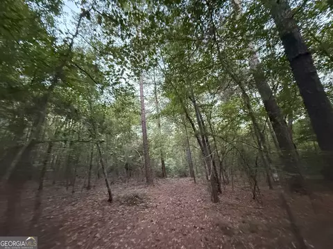5 Watsons Mill Rd, Comer, GA 30629 photo 31