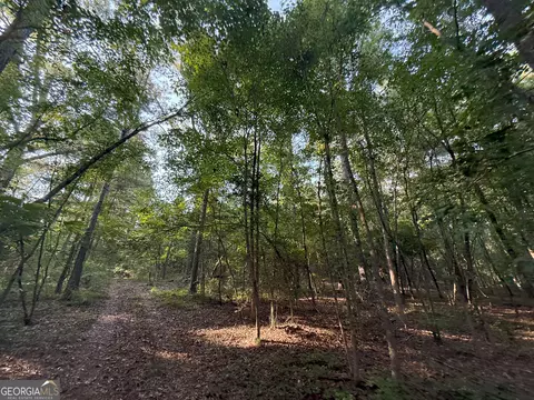 5 Watsons Mill Rd, Comer, GA 30629 photo 13