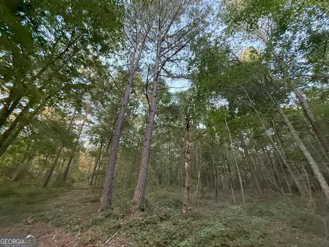 5 Watsons Mill Rd, Comer, GA 30629 photo 35