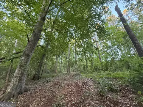 5 Watsons Mill Rd, Comer, GA 30629 photo 53