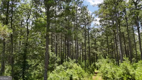 5 Watsons Mill Rd, Comer, GA 30629 photo 6