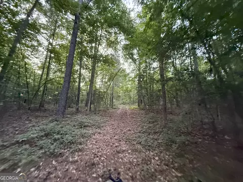 5 Watsons Mill Rd, Comer, GA 30629 photo 40