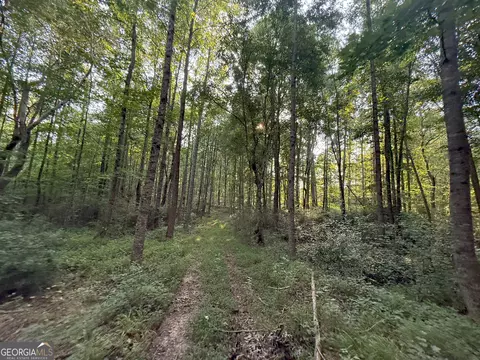 5 Watsons Mill Rd, Comer, GA 30629 photo 18