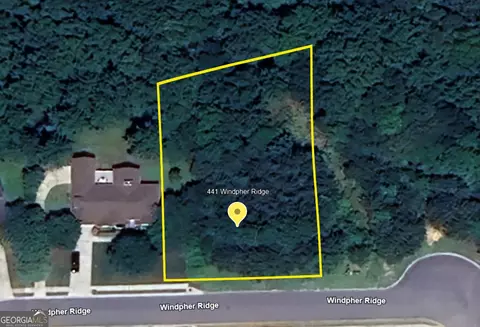 441 Windpher Rdg #LOT 212, Hampton, GA 30228 photo 3