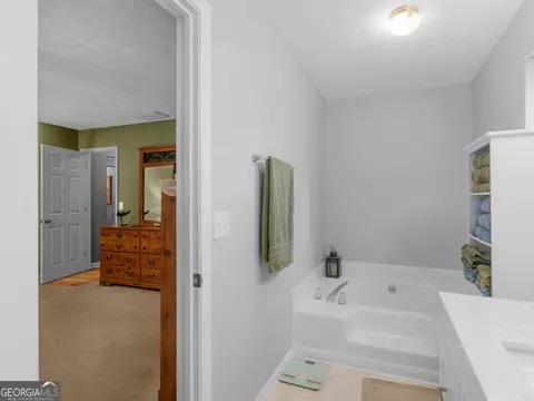 Bath - 2866 Rosecommons Dr, Hampton, GA 30228 photo 2 of 4