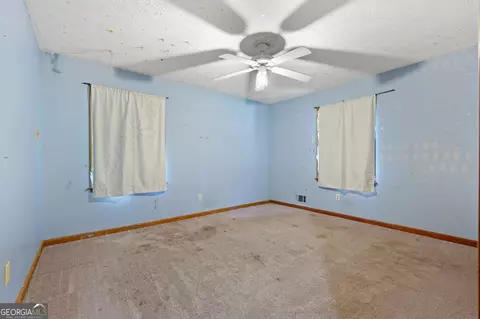 207 Conkle Rd, Hampton, GA 30228 photo 27