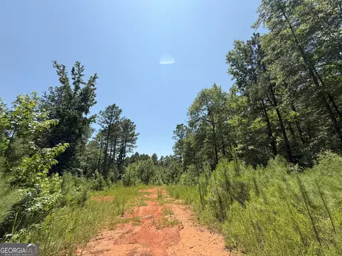 6 Watsons Mill Rd, Comer, GA 30629 photo 71