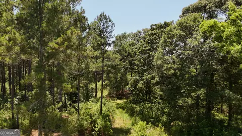 6 Watsons Mill Rd, Comer, GA 30629 photo 17