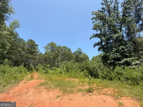 6 Watsons Mill Rd, Comer, GA 30629 photo 52