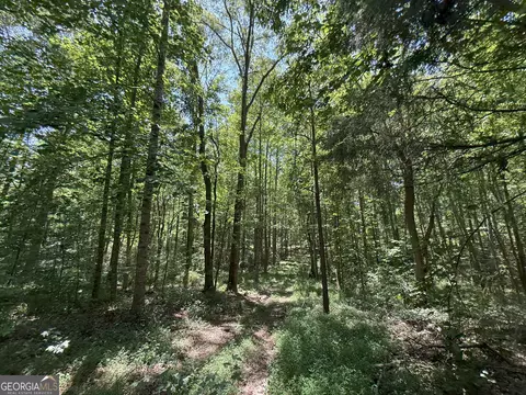 6 Watsons Mill Rd, Comer, GA 30629 photo 31