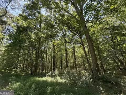 6 Watsons Mill Rd, Comer, GA 30629 photo 95
