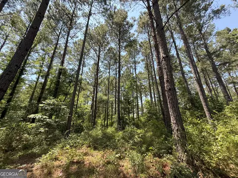 6 Watsons Mill Rd, Comer, GA 30629 photo 50