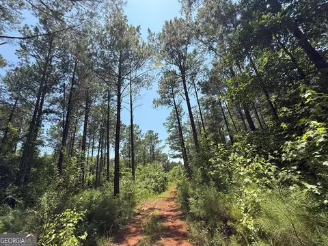 6 Watsons Mill Rd, Comer, GA 30629 photo 74