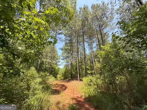 6 Watsons Mill Rd, Comer, GA 30629 photo 55