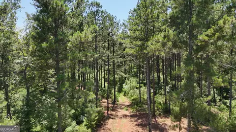 6 Watsons Mill Rd, Comer, GA 30629 photo 18