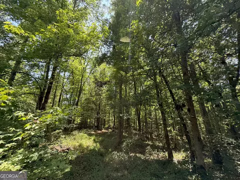 6 Watsons Mill Rd, Comer, GA 30629 photo 63