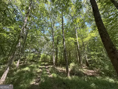 6 Watsons Mill Rd, Comer, GA 30629 photo 39