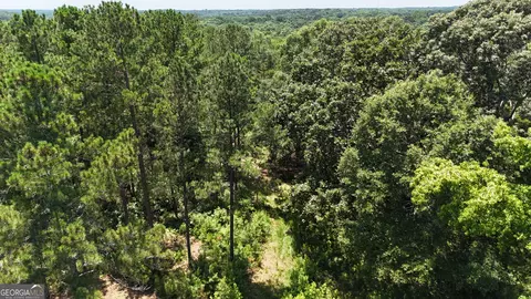 6 Watsons Mill Rd, Comer, GA 30629 photo 19