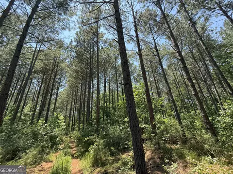 6 Watsons Mill Rd, Comer, GA 30629 photo 67