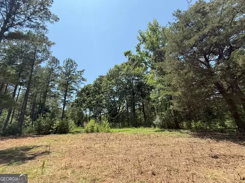 6 Watsons Mill Rd, Comer, GA 30629 photo 89