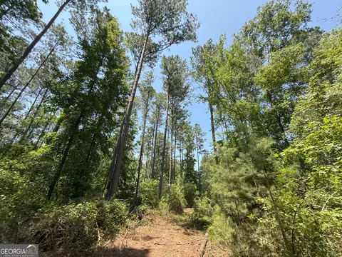 6 Watsons Mill Rd, Comer, GA 30629 photo 57