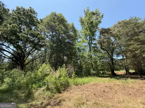 6 Watsons Mill Rd, Comer, GA 30629 photo 48
