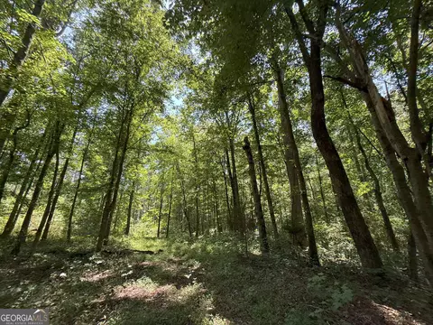 6 Watsons Mill Rd, Comer, GA 30629 photo 92
