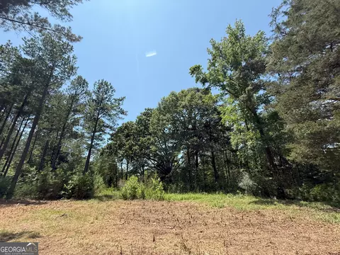 6 Watsons Mill Rd, Comer, GA 30629 photo 88