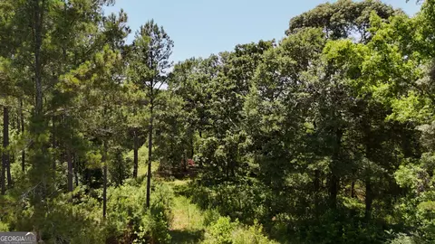 6 Watsons Mill Rd, Comer, GA 30629 photo 16