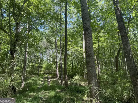 6 Watsons Mill Rd, Comer, GA 30629 photo 37