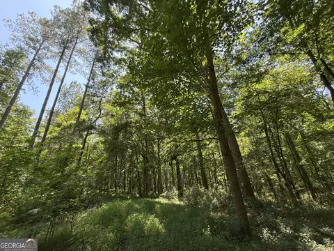6 Watsons Mill Rd, Comer, GA 30629 photo 94