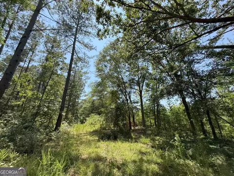 6 Watsons Mill Rd, Comer, GA 30629 photo 47