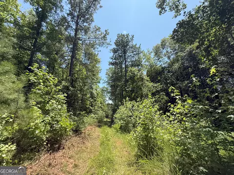 6 Watsons Mill Rd, Comer, GA 30629 photo 64