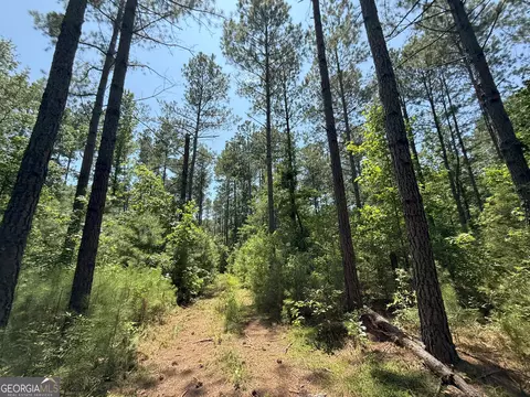 6 Watsons Mill Rd, Comer, GA 30629 photo 65