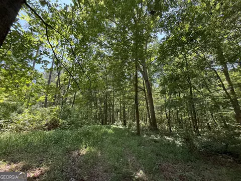 6 Watsons Mill Rd, Comer, GA 30629 photo 93