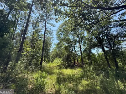 6 Watsons Mill Rd, Comer, GA 30629 photo 82